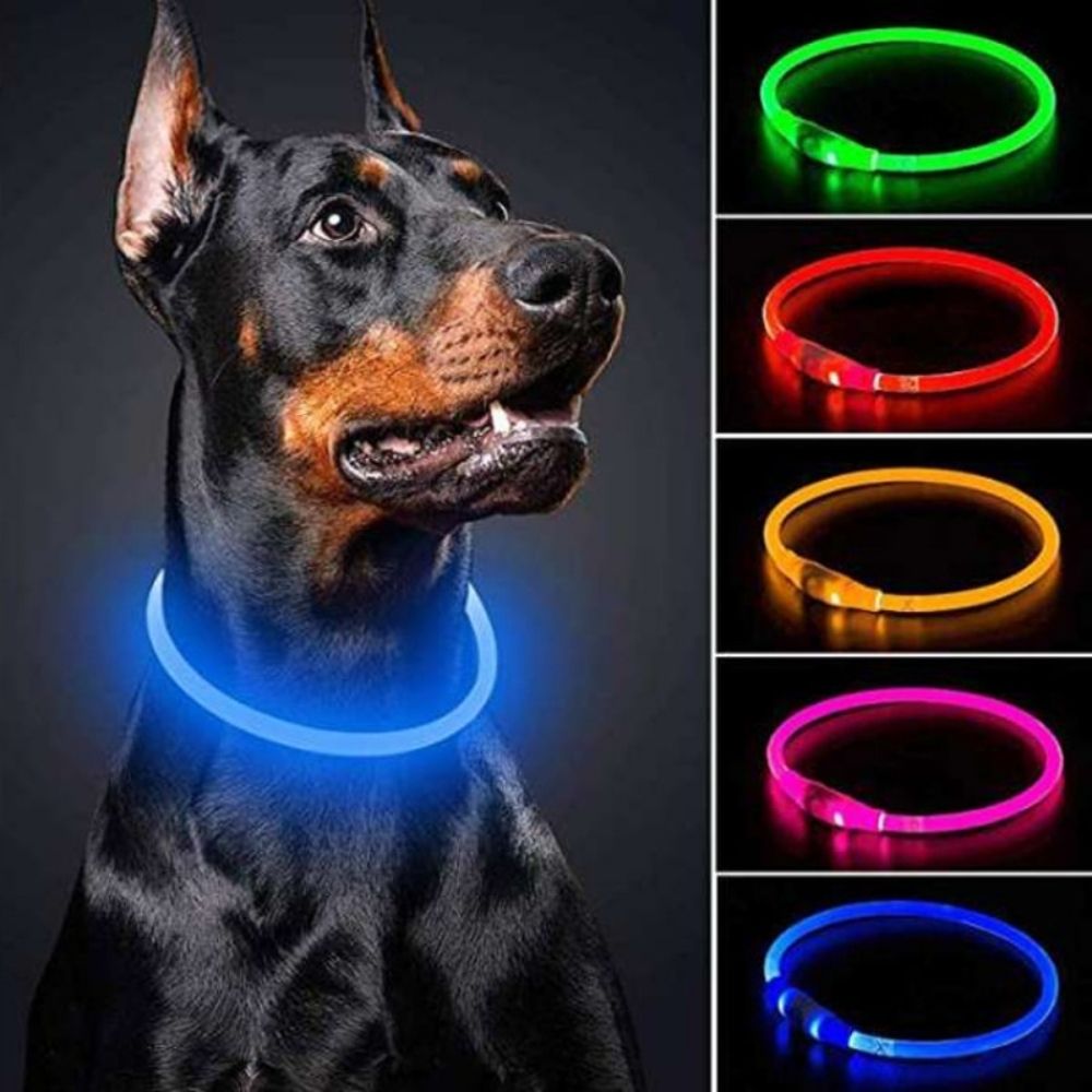 The Guardian azul - luz alta visibilidad para collar perro