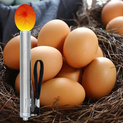 HatchMaster™ Egg Candler Illuminator for Chickens, Ducks, Geese, and more