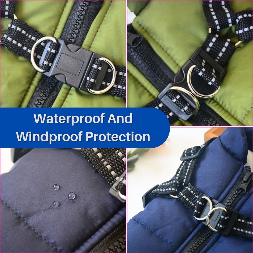 CanineGuard™ 3-in-1 Dog Jacket