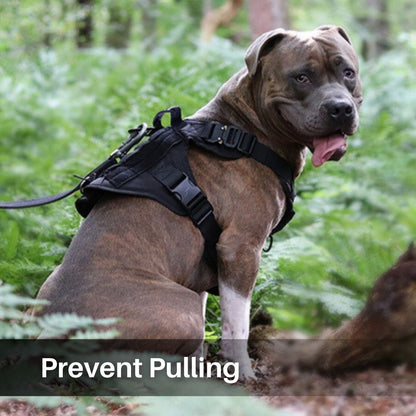 Control Companion Pro™ Tactical Dog Harness