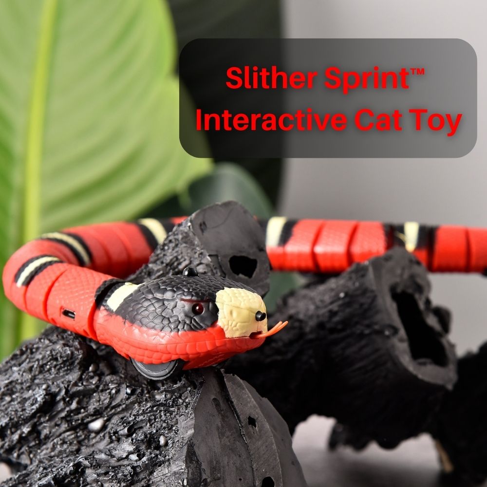 Slither Sprint™ Interactive Cat Toy