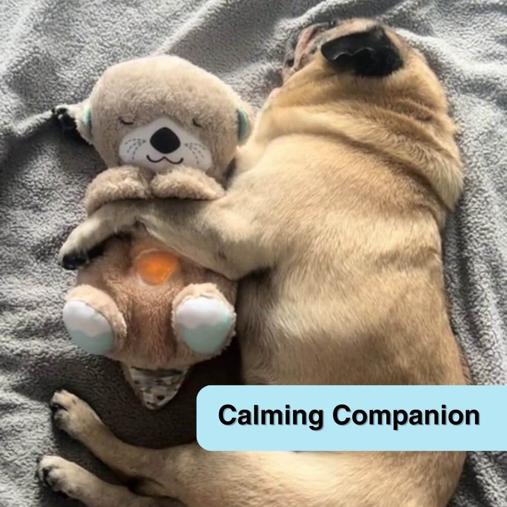 SoothePup™ Calming Otter Dog Companion