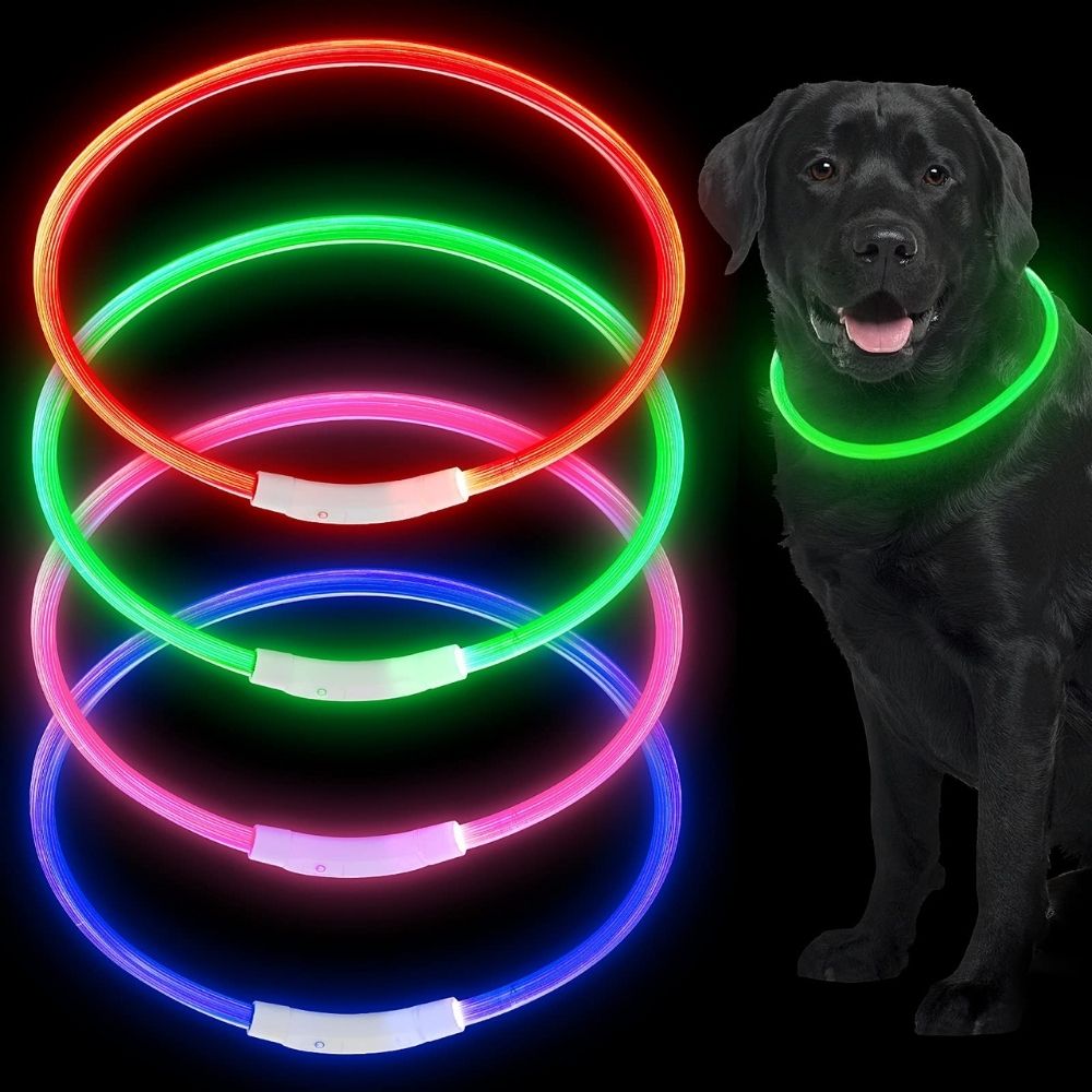 Go doggie best sale glow led collar