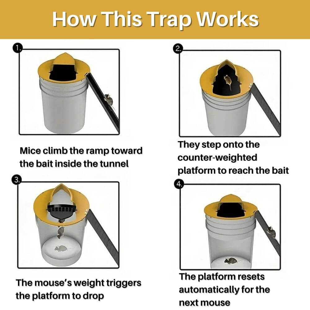 SwiftCatch™ Humane Bucket Lid Rodent Trap