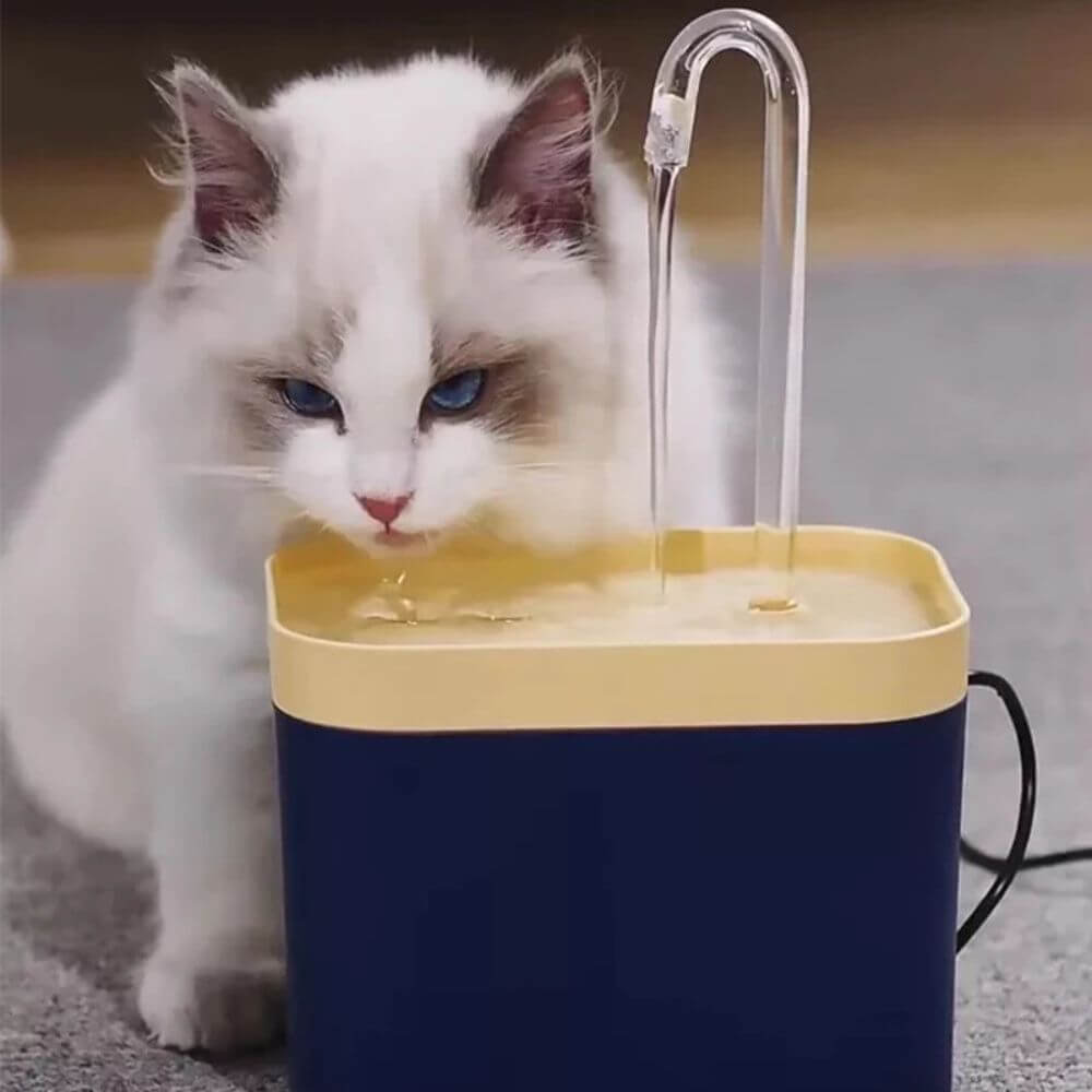 FelineOasis™ Automatic Cat Hydration Fountain