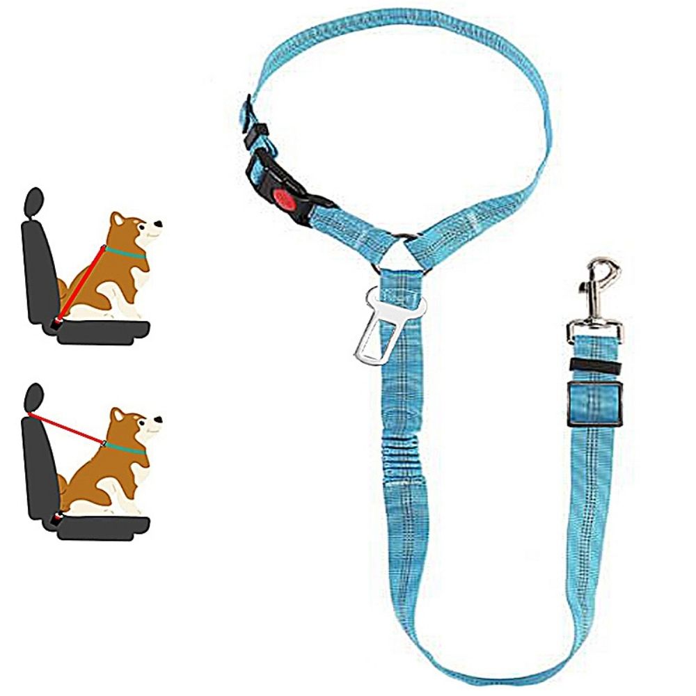 TravelBuddy™ 3-in-1 Dog Seat Belt and Leash