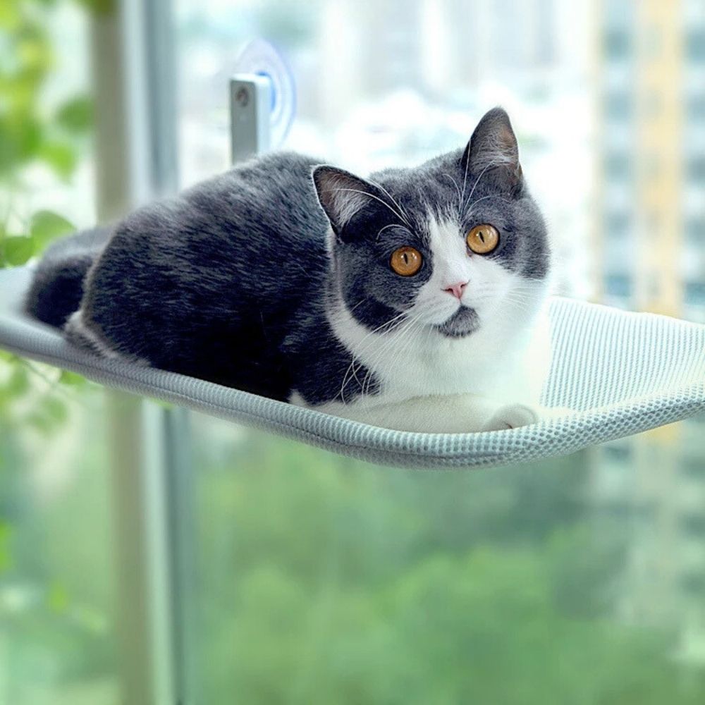 CatPerch™ Foldable Cat Hammock