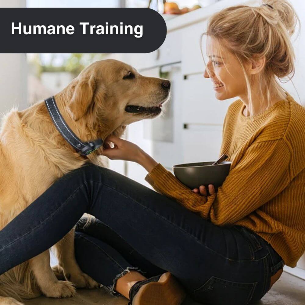 BarkMaster™ Anti Barking Training Collar