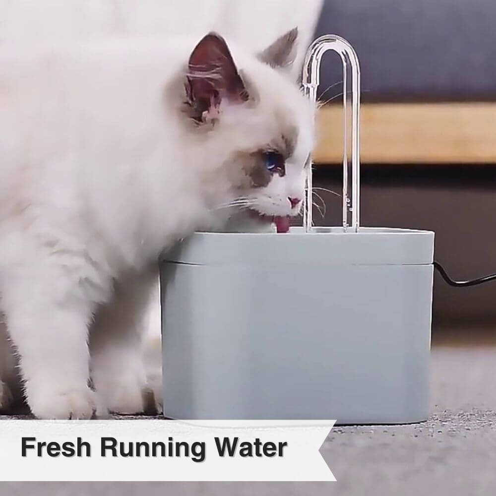 FelineOasis™ Automatic Cat Hydration Fountain