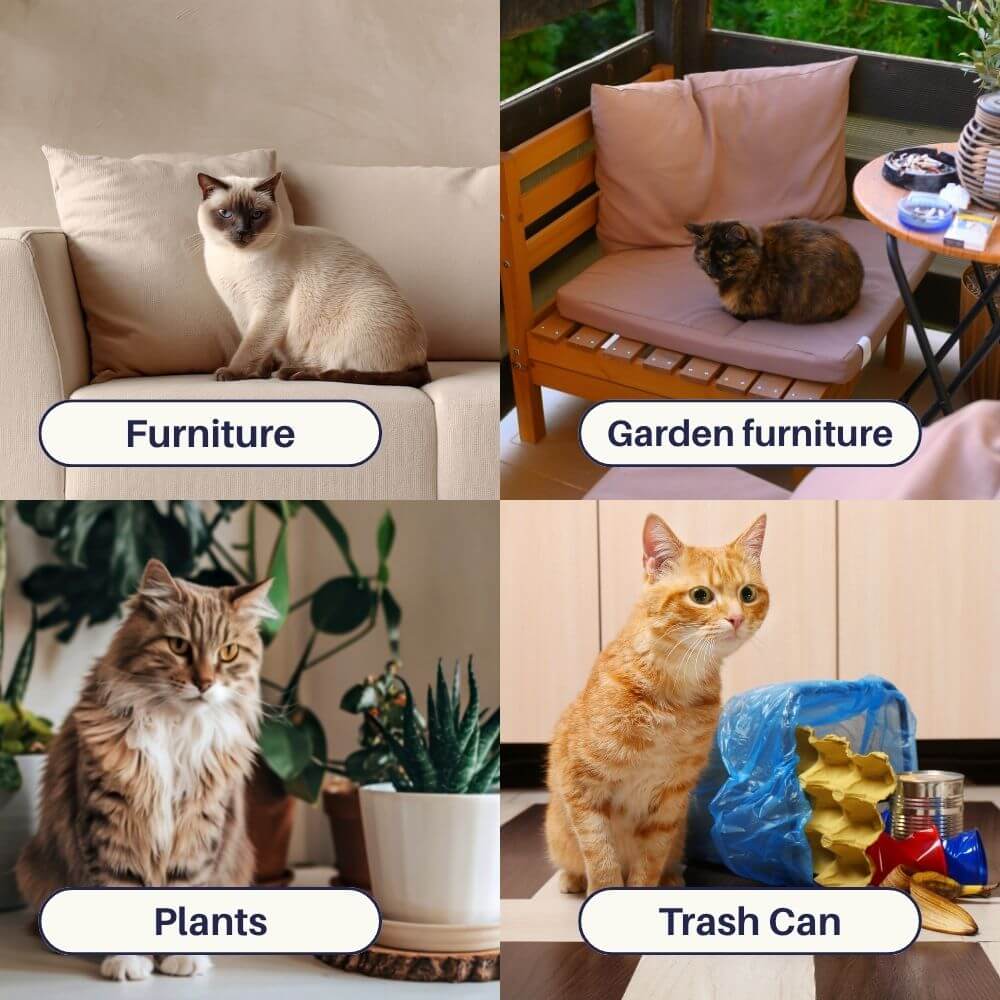 anti cat spray for garden ScratchDefense™ Anti-Cat Scratching Spray – KanaGear