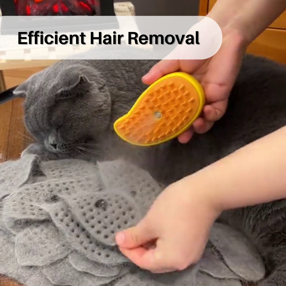 PurrSpa™ Steamy Cat Brush Special Offer