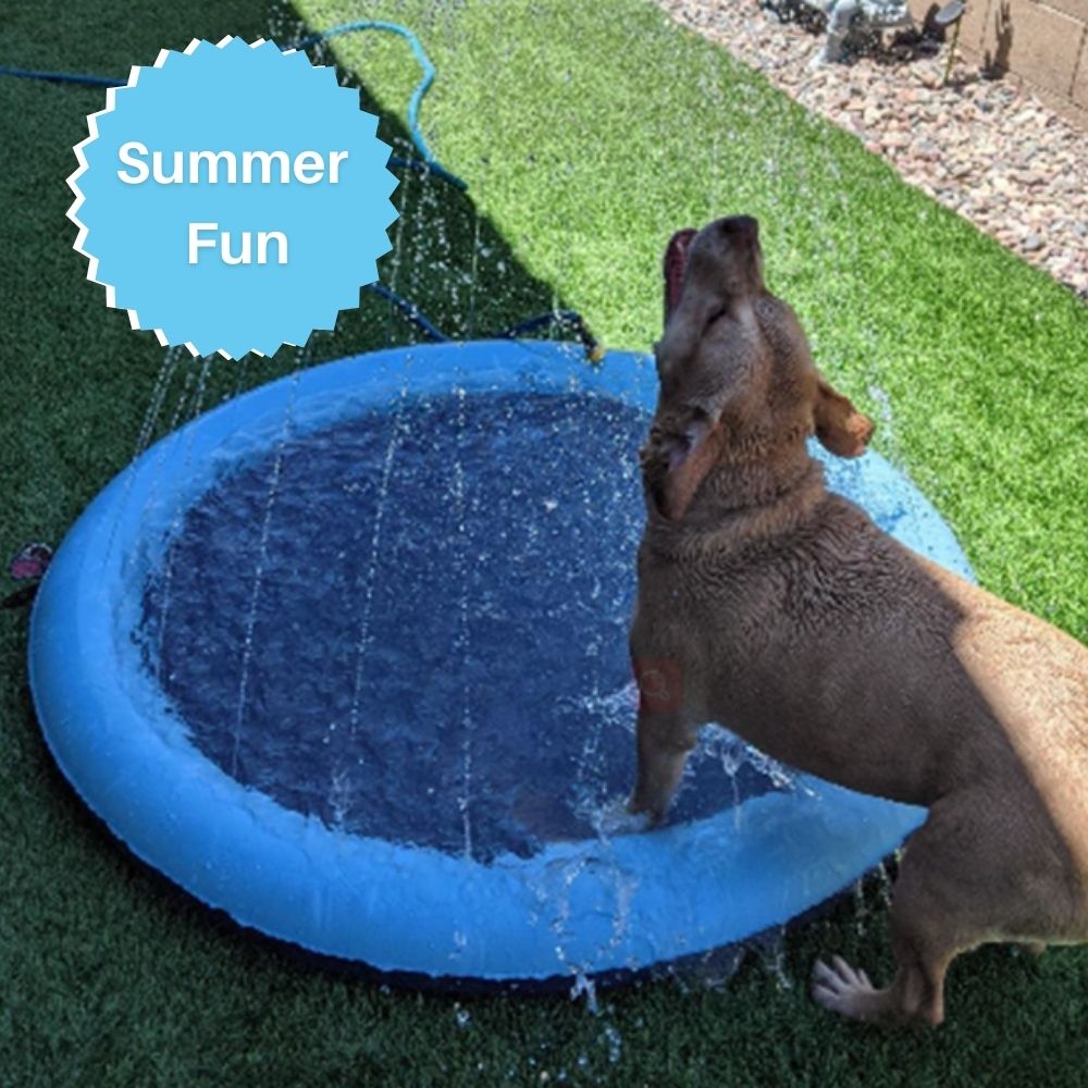 Splash-N-Wag™ Doggie Pool