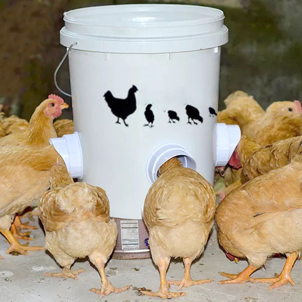 SecureFeed™ Chicken Feeding System