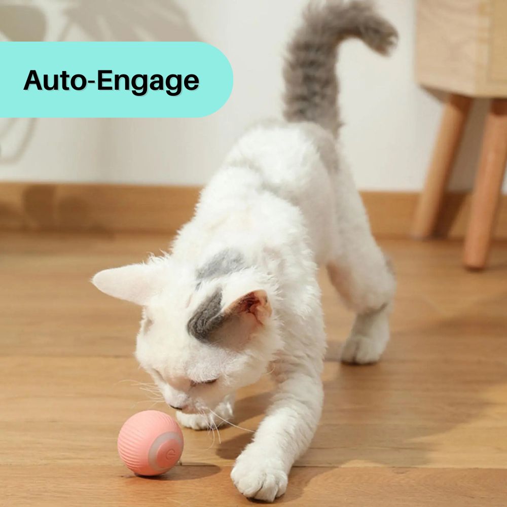 PurrPlay™ Interactive Cat Rolling Ball