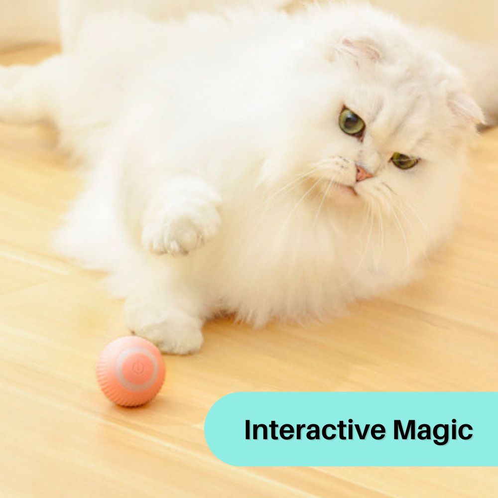 PurrPlay™ Interactive Cat Rolling Ball