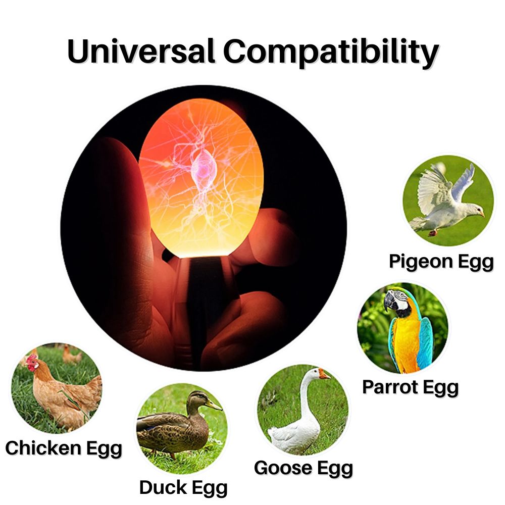 HatchMaster™ Egg Candler Illuminator for Chickens, Ducks, Geese, and more