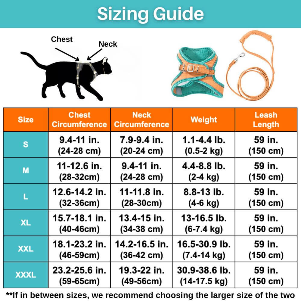 Pawfectly Safe™ Cat Harness And Leash Set