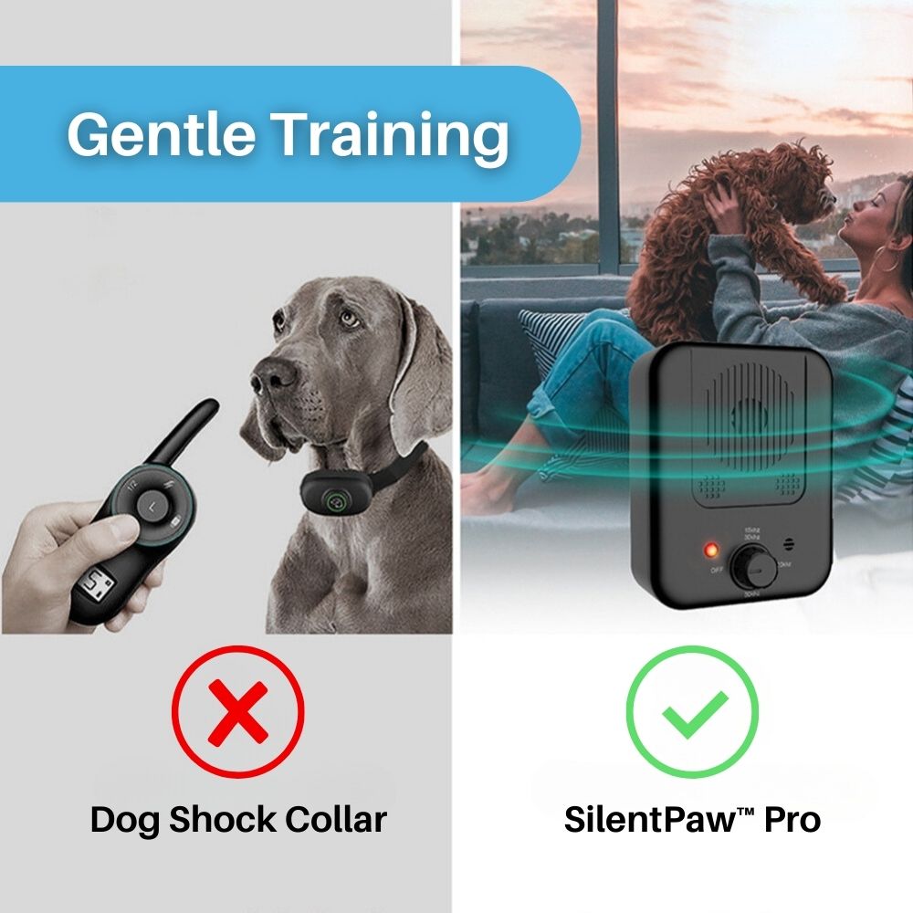 Silent dog 2024 barking device