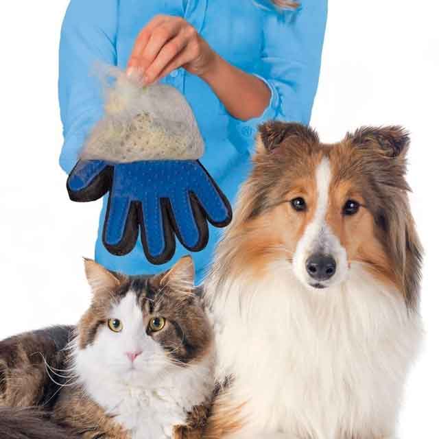 Gentle Grooming Glove discount fur hair clean brush