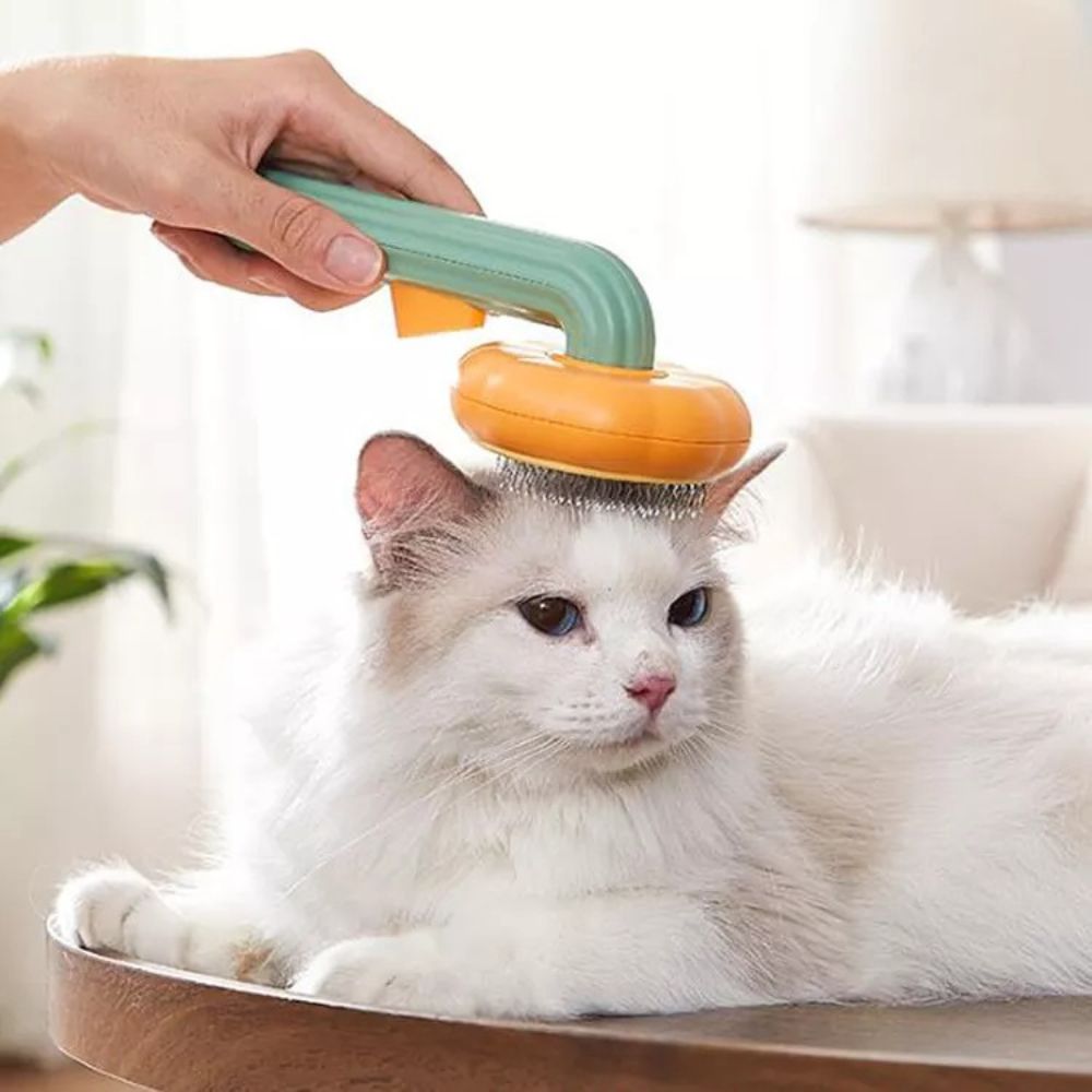 Pumpkin Pet Brush For Cats And Dogs