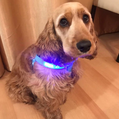 Light Up Safe-At-Night Dog Harness