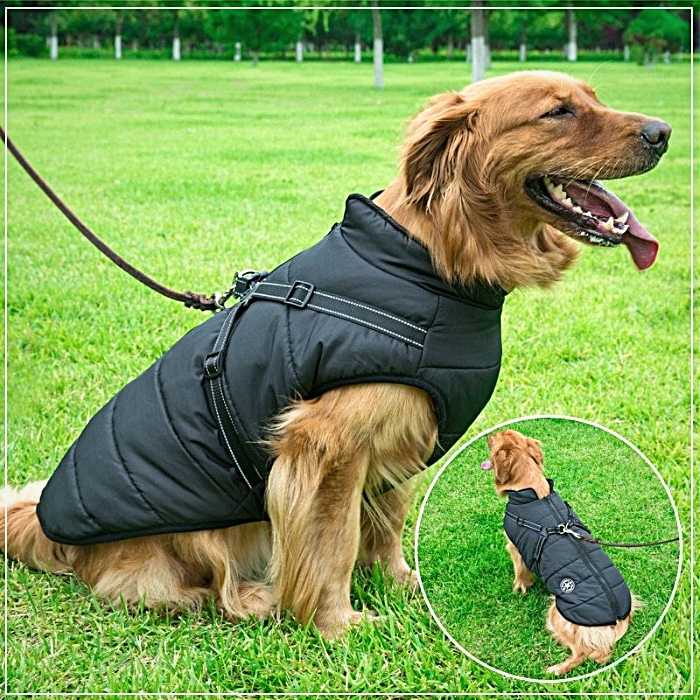 Waterproof Dog Jacket Harness (2-in-1)
