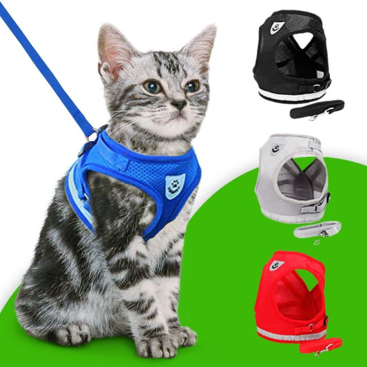 EasyWalk™ Cat Harness and Leash Set