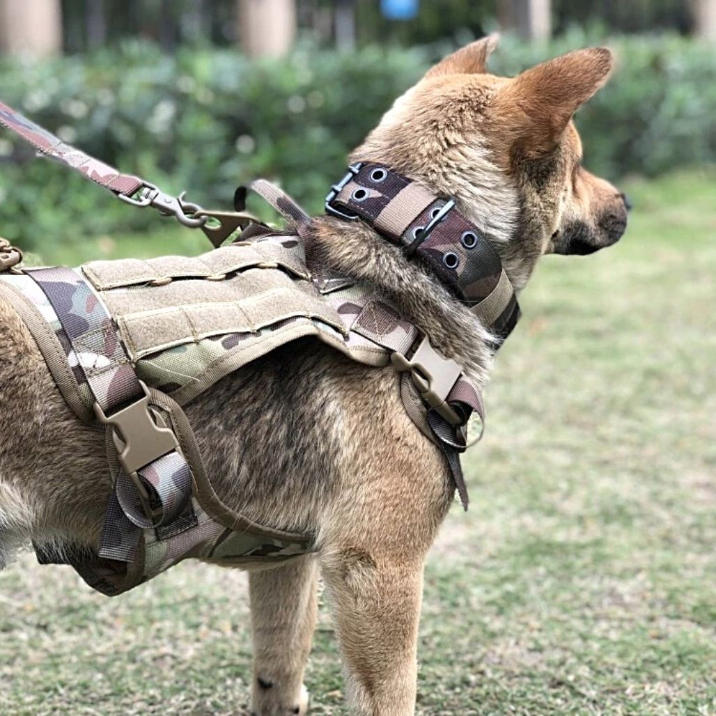 Pin by chula on moda perro  Tactical dog harness, Tactical dog gear, Dog  harness