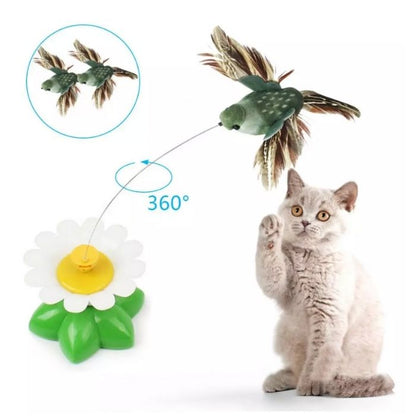 Interactive Bird and Butterfly Cat Toy