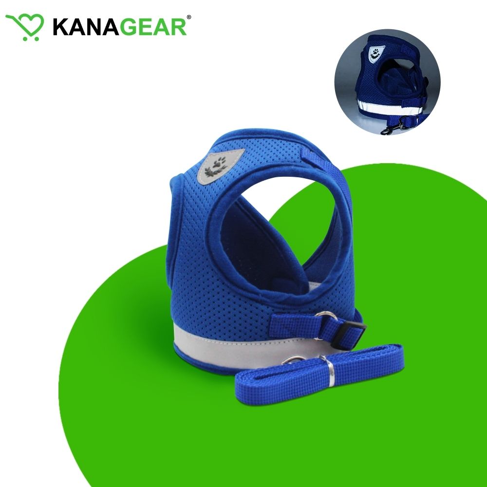 Pawfectly Safe™ Cat Harness And Leash Set - KanaGear