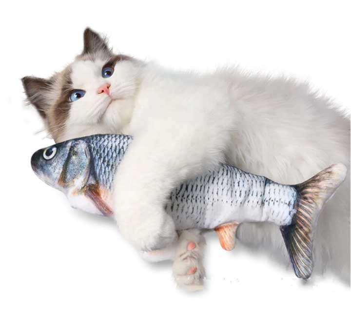 Dancing Fishy™ Interactive Cat Toy
