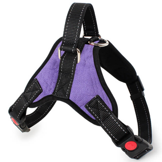 XS Adjustable Safety Dog Harness