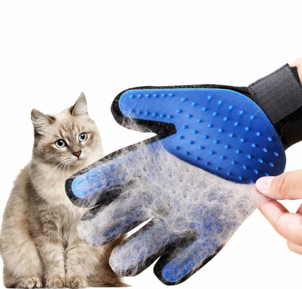 Cat sale hair glove