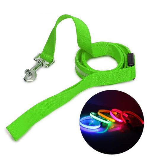 Luminous LED Leash And Collar safe at night colors high quality nylon size medium large