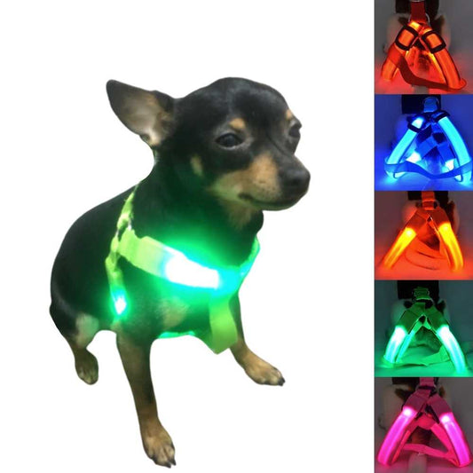 Light Up Safe-At-Night Dog Harness