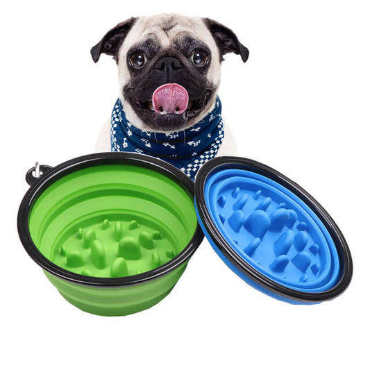 Portable Anti-Gulp Slow Feeder Dog Bowl