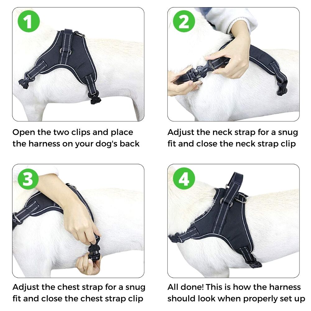 Kanagear dog harness free best sale