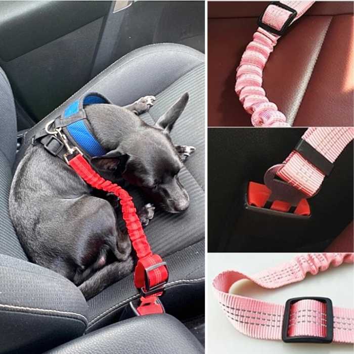 SAFE-PET Adjustable Dog Seat Belt