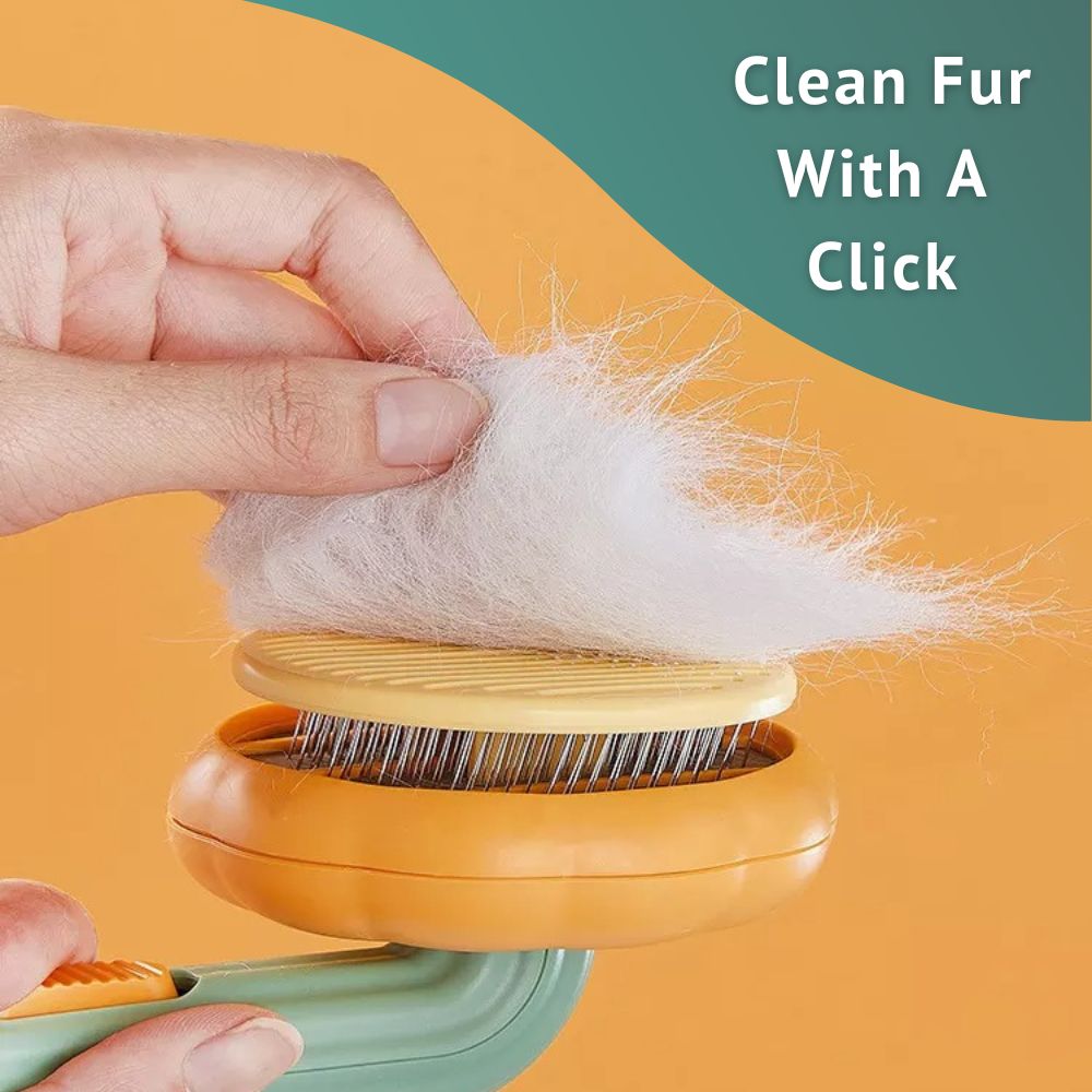 Pumpkin Pet Brush For Cats And Dogs
