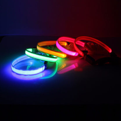 Luminous LED Leash And Collar safe at night colors high quality nylon size medium large