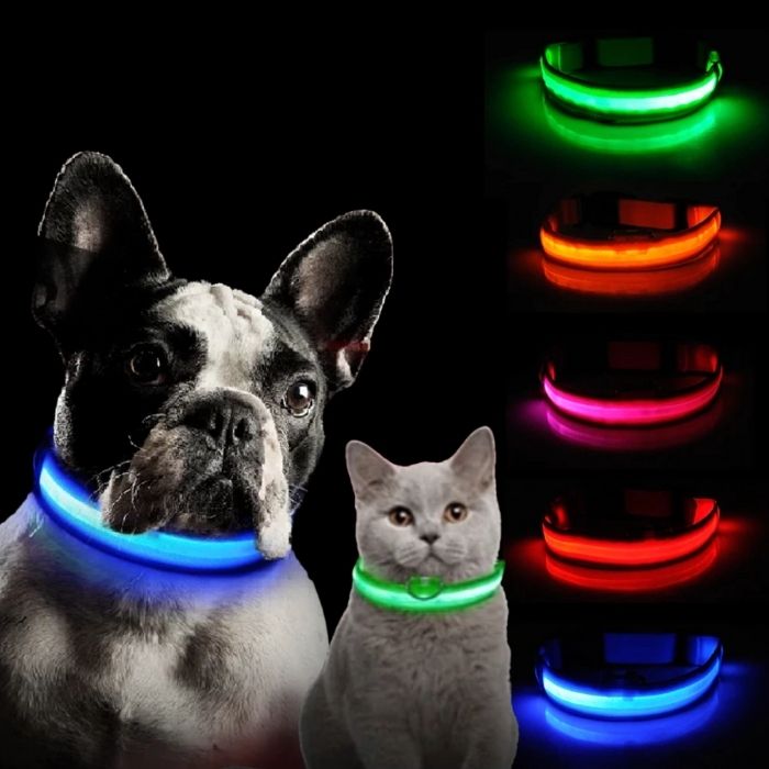 Light Up Safe-At-Night Pet Collar