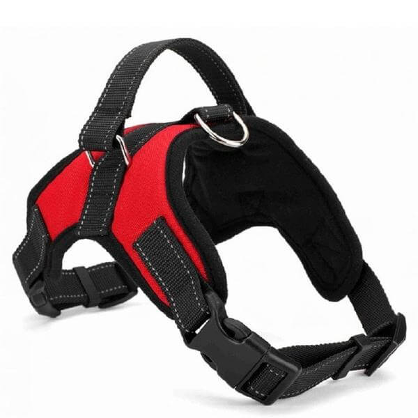 Adjustable Safety Dog Harness