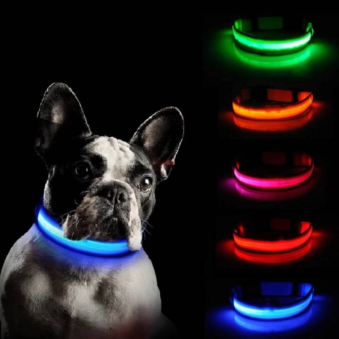 Light Up Safe-At-Night Dog Collar